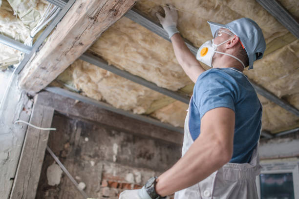 Best Insulation for Specific Applications in Cordova, AK