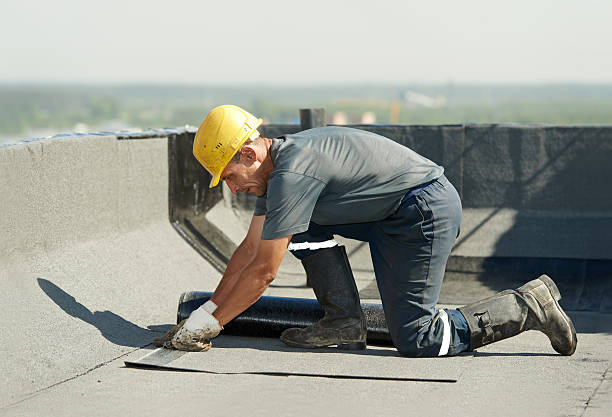 Best Residential Insulation in Cordova, AK