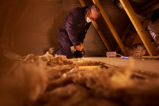 Best Insulation Maintenance and Repair in Cordova, AK
